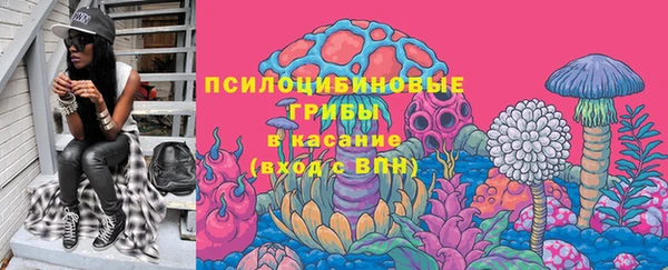 бошки Аркадак